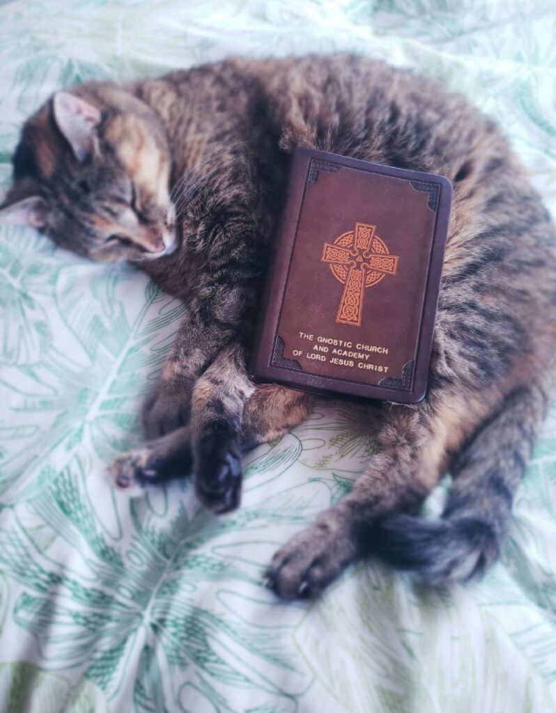 Cheebies And The Bible